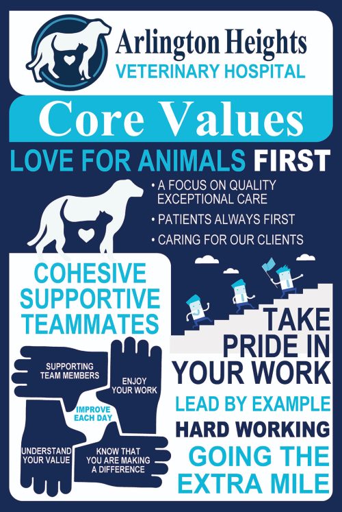 Core-Values-2022-Graphic_resized